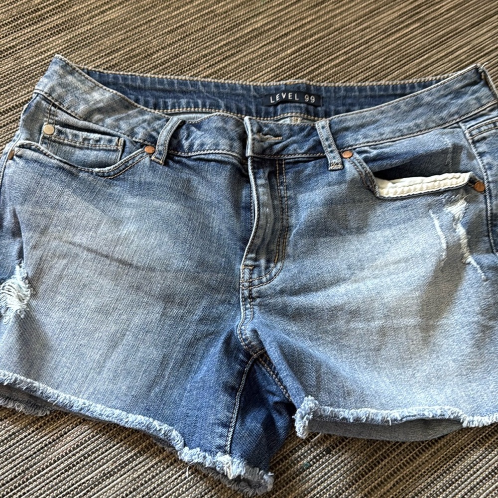 Level 99 Denim Shorts